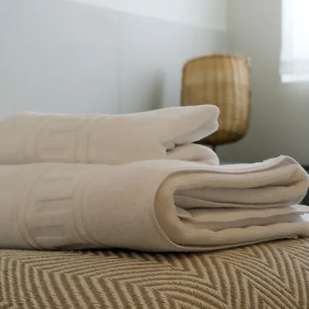 公寓 Plaza Mayor 希洪