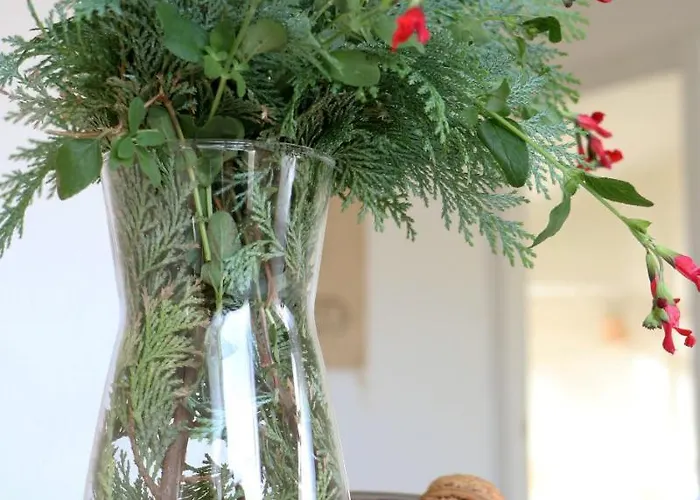 Plaza Mayor * Gijón