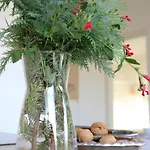 Plaza Mayor * גיחון